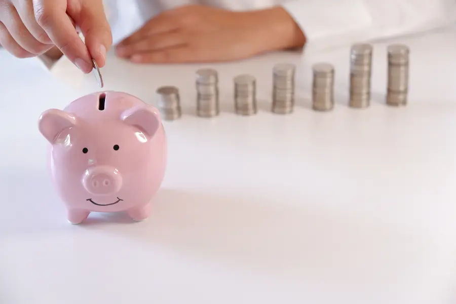 Piggy bank with coins savings